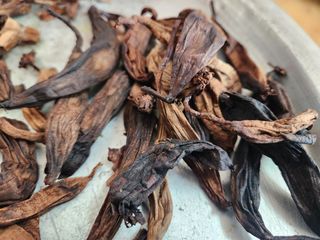 이창신님의 자유주제 · 자유게시판 작성글 사진