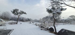 금원산농장님의 설날 계획 공유해요 · 참여글 작성글 사진