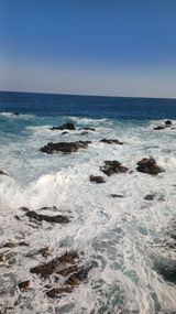 팜모닝 설날 계획 공유해요·참여글 게시글 이미지