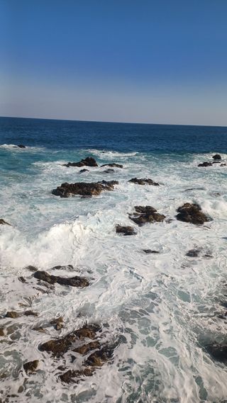 오귀연님의 설날 계획 공유해요 · 참여글 작성글 사진