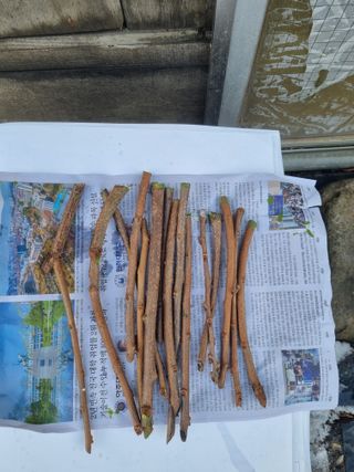 김용대님의 자유주제 · 자유게시판 작성글 사진