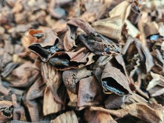 이창신님의 자유주제 · 자유게시판 작성글 사진