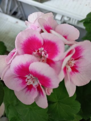 상추31327님의 자유주제 · 자유게시판 작성글 사진