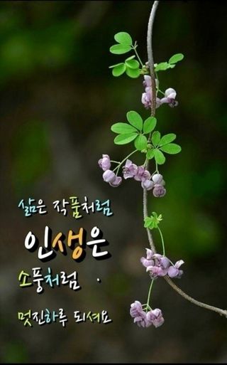 최행연님의 작성글 사진