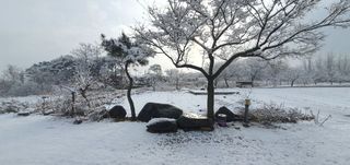 금원산농장님의 설날 계획 공유해요 · 참여글 작성글 사진