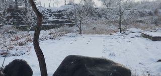 금원산농장님의 설날 계획 공유해요 · 참여글 작성글 사진