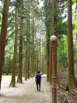 김상진님의 설날 계획 공유해요 · 참여글 작성글 사진
