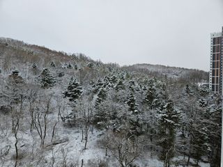 j.y.park님의 설날 계획 공유해요 · 참여글 작성글 사진