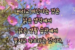 보리수치유농장님의 자유주제 · 자유게시판 작성글 사진