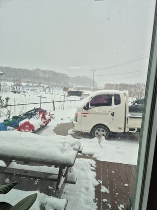 신인농원님의 자유주제 · 자유게시판 작성글 사진