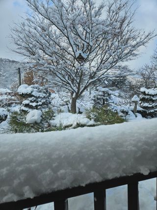 모니카님의 작성글 사진