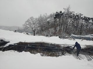 유기농 블루베리 농님의 자유주제 · 사진전 작성글 사진