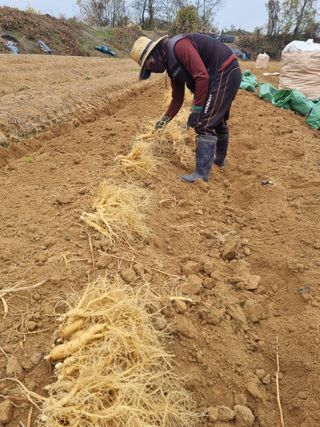 모두팜님의 작성글 사진