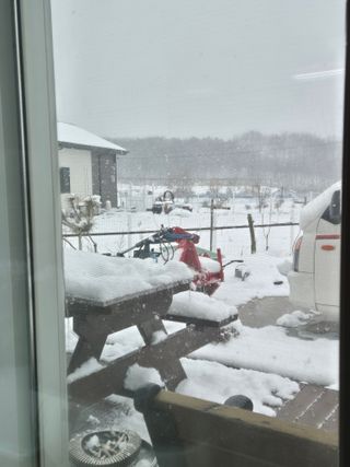 신인농원님의 자유주제 · 자유게시판 작성글 사진