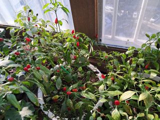 최한기님의 자유주제 · 자유게시판 작성글 사진