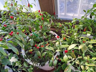 최한기님의 자유주제 · 자유게시판 작성글 사진