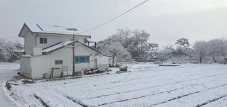 금원산농장님의 설날 계획 공유해요 · 참여글 작성글 사진