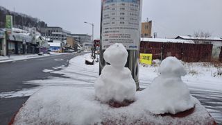 MSG0074님의 자유주제 · 자유게시판 작성글 사진