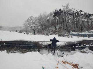 유기농 블루베리 농님의 자유주제 · 사진전 작성글 사진