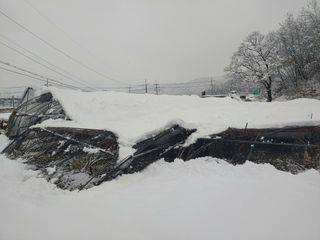 유기농 블루베리 농님의 자유주제 · 사진전 작성글 사진