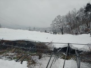 유기농 블루베리 농님의 자유주제 · 사진전 작성글 사진