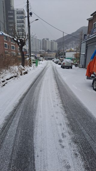 MSG0074님의 자유주제 · 자유게시판 작성글 사진