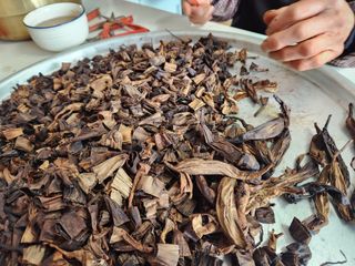 이창신님의 자유주제 · 자유게시판 작성글 사진