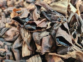 이창신님의 자유주제 · 자유게시판 작성글 사진