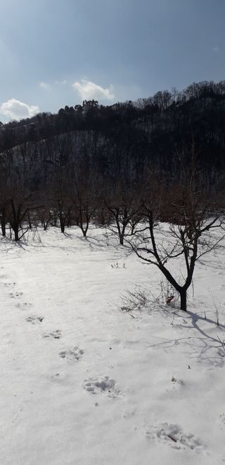 이슬농부농산님의 자유주제 · 자유게시판 작성글 사진