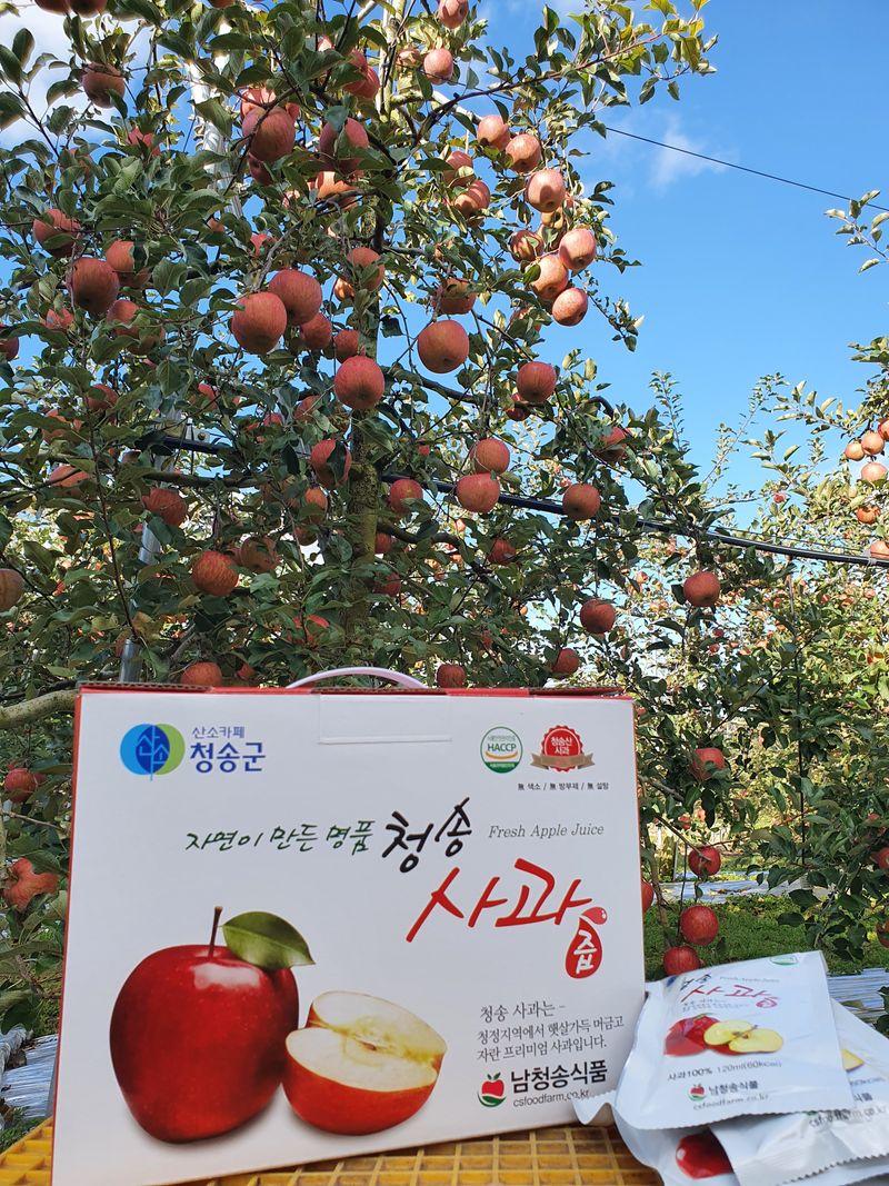 장터 상품 [사과즙] 썸네일