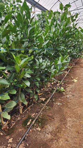 송응준님의 작성글 사진