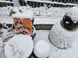 최연재님의 설날 계획 공유해요 · 참여글 작성글 사진