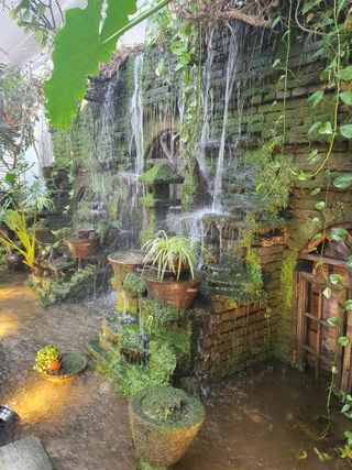 뿌리묘목농원님의 자유주제 · 자유게시판 작성글 사진