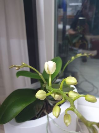 주옥님의 자유주제 · 자유게시판 작성글 사진