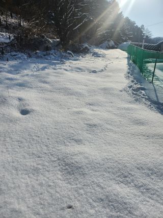 툇골짜기님의 자유주제 · 자유게시판 작성글 사진