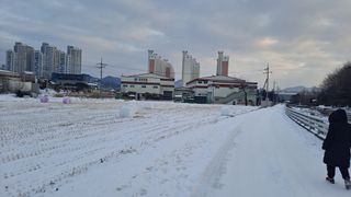 MSG0074님의 자유주제 · 자유게시판 작성글 사진