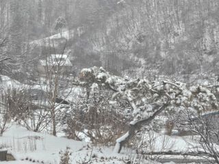 손기홍님의 자유주제 · 자유게시판 작성글 사진