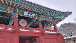 이정운님의 자유주제 · 자유게시판 작성글 사진