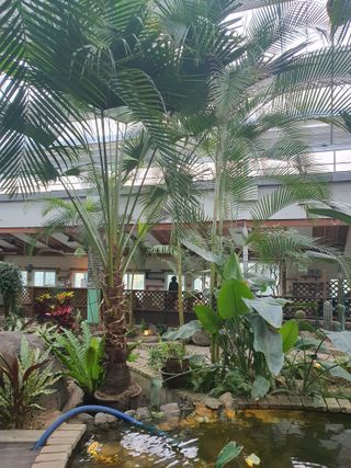 뿌리묘목농원님의 자유주제 · 자유게시판 작성글 사진