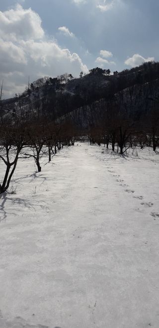 이슬농부농산님의 자유주제 · 자유게시판 작성글 사진