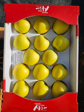 손기홍님의 작성글 사진