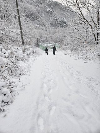 손기홍님의 자유주제 · 자유게시판 작성글 사진