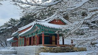 이정운님의 자유주제 · 자유게시판 작성글 사진