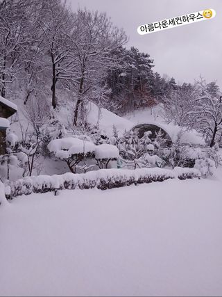 정도영님의 자유주제 · 자유게시판 작성글 사진