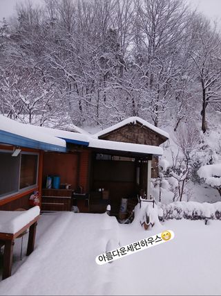 정도영님의 자유주제 · 자유게시판 작성글 사진