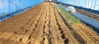 심기섭님의 자유주제 · 자유게시판 작성글 사진