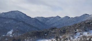 전병석님의 자유주제 · 자유게시판 작성글 사진