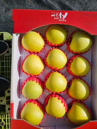 손기홍님의 작성글 사진