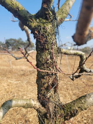 김재현님의 자유주제 · 자유게시판 작성글 사진