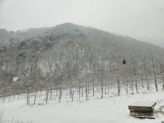 손기홍님의 자유주제 · 자유게시판 작성글 사진